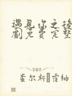 遇见你之后电视剧免费完整观看高清封面