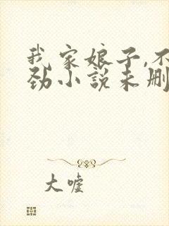 我家娘子,不对劲小说未删版完整
