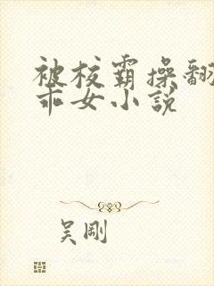 被校霸操翻的乖乖女小说