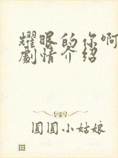 耀眼的你啊分集剧情介绍封面