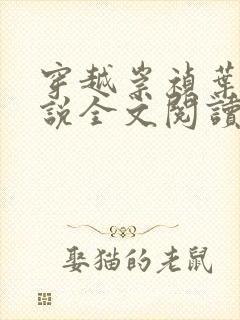 穿越崇祯叶轩小说全文阅读