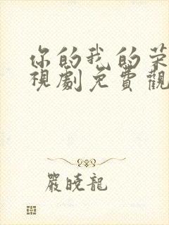 你的我的荣耀电视剧免费观看高清