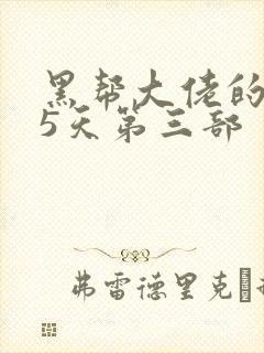 黑帮大佬的365天第三部