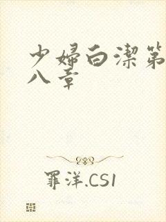 少妇白洁第二十八章