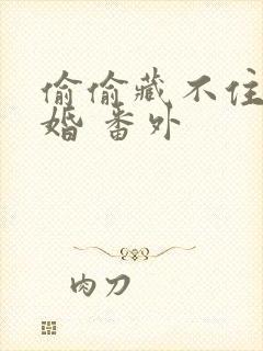 偷偷藏不住 新婚 番外