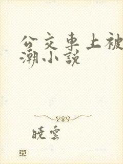 公交车上被摸高潮小说