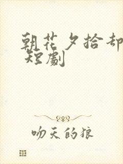 朝花夕拾却已迟 短剧