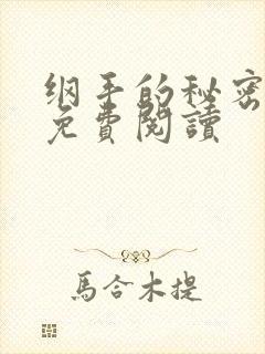 纲手的秘密全集免费阅读封面