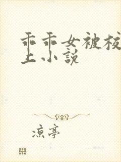 乖乖女被校霸盯上小说