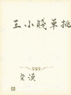 王小贱单挑干将