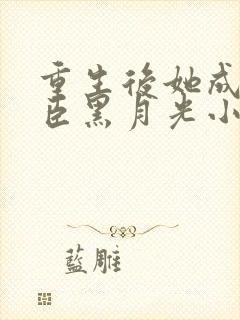 重生后她成了权臣黑月光小说全文阅读封面