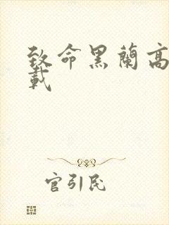 致命黑兰高清下载封面