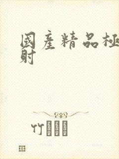 国产精品极品内射封面