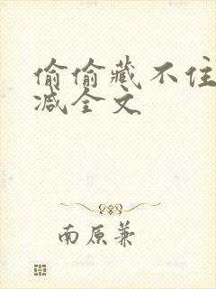 偷偷藏不住无删减全文