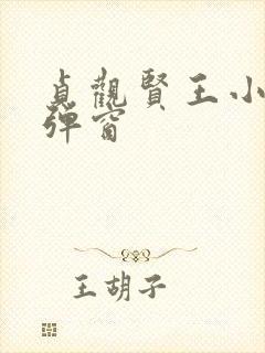 贞观贤王小说无弹窗封面