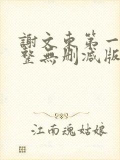 谢文东第一季完整无删减版