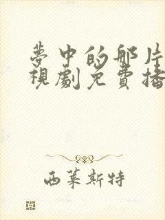 梦中的那片海电视剧免费播放