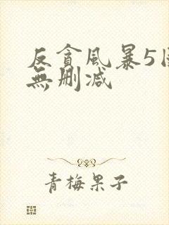 反贪风暴5国语无删减封面