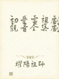 初爱电视剧免费观看全集剧情