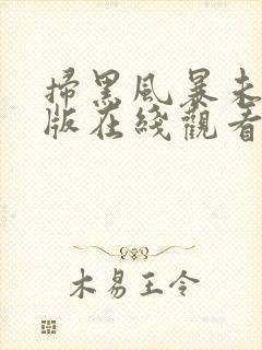 扫黑风暴未删减版在线观看