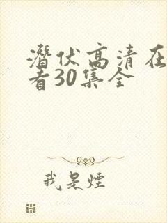 潜伏高清在线观看30集全