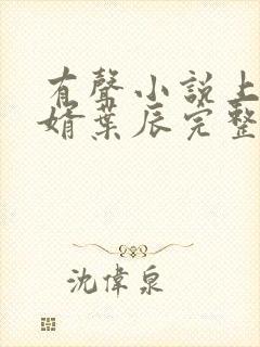 有声小说上门女婿叶辰完整版免费封面