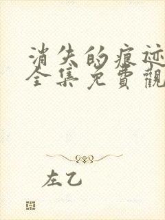 消失的痕迹在线全集免费观看完整版封面