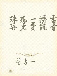 殊死一搏电影全集免费观看