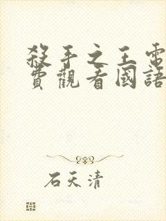 杀手之王电影免费观看国语完整版