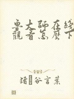 鲁大师在线视频观看怎么下载封面