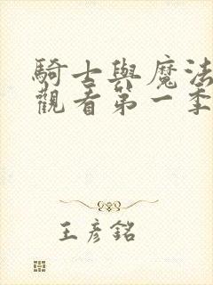 骑士与魔法免费观看第一季