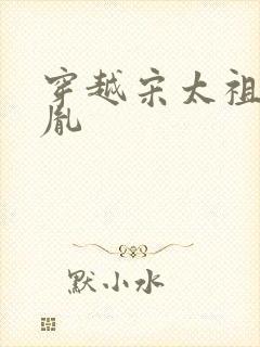 穿越宋太祖赵匡胤