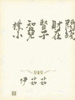 朴智贤财阀家的小儿子在线观看封面