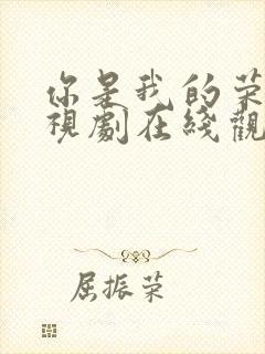 你是我的荣耀电视剧在线观看星辰