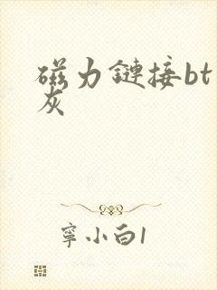 磁力链接bt大灰封面