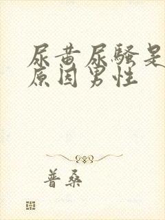 尿黄尿骚是什么原因男性