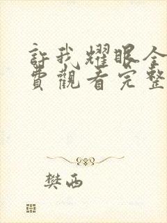 许我耀眼全集免费观看完整版高清