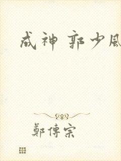成神 郭少风封面