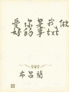 爱你是我做过最好的事txt