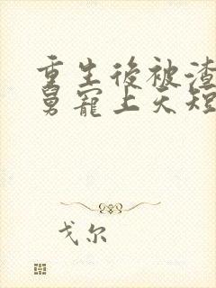 重生后被渣男舅舅宠上天短剧全集封面