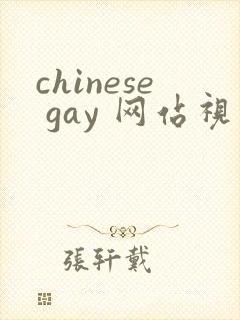 chinese gay 网站视频