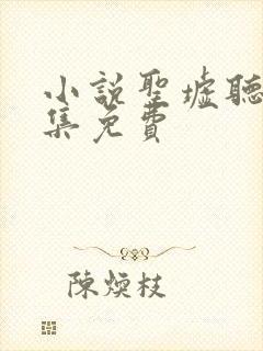 小说圣墟听书全集免费