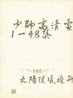 少帅高清电视剧1一48集