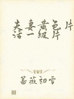 夫妻黄色片性生活一级片