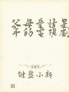 父母爱情是哪一年的电视剧封面