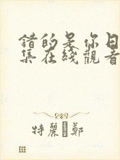 错的是你日剧全集在线观看封面