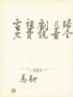 电视剧《归路》免费观看全集高清