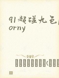 91超碰九色porny