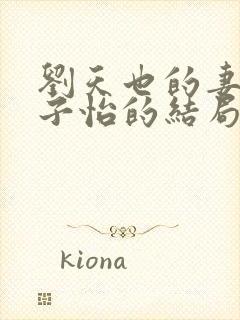 刘天也的妻子赵子怡的结局