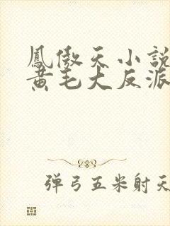 凤傲天小说里的黄毛大反派